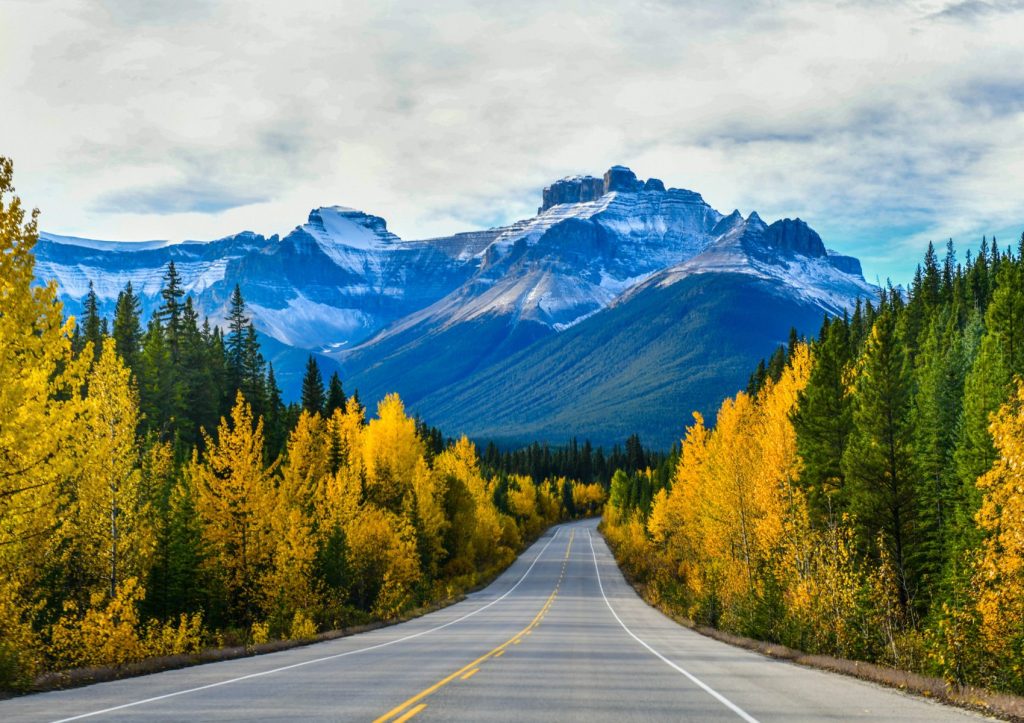 Canada IOR Direct Solutions