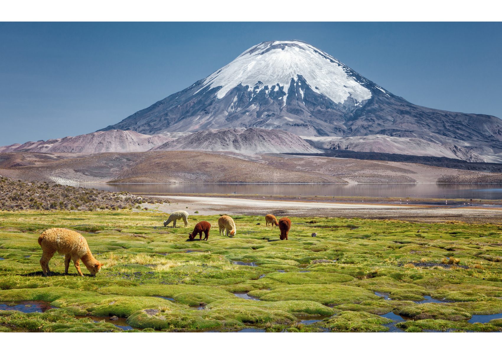 South America IOR Direct Solutions