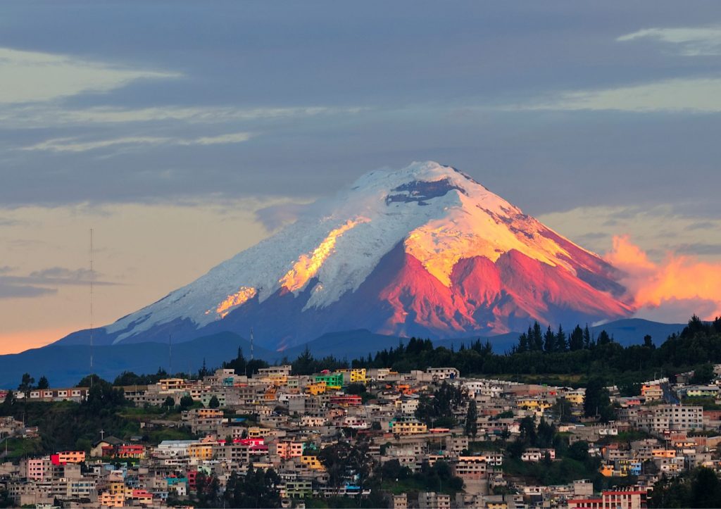 South America IOR Direct Solutions