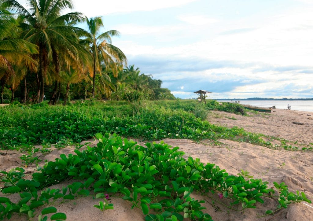 French Guiana